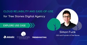 Cloud Reliability and Ease-of-Use for Digital Agency: Tree Stones Use Case