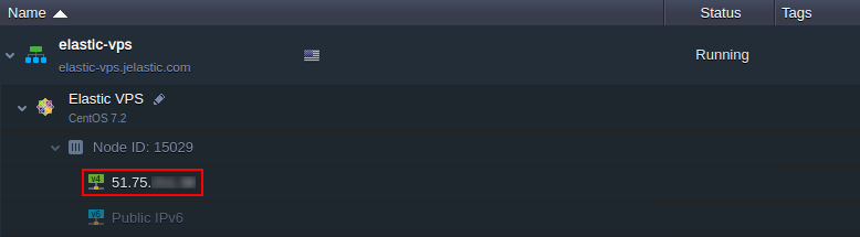 elastic vps public ip address