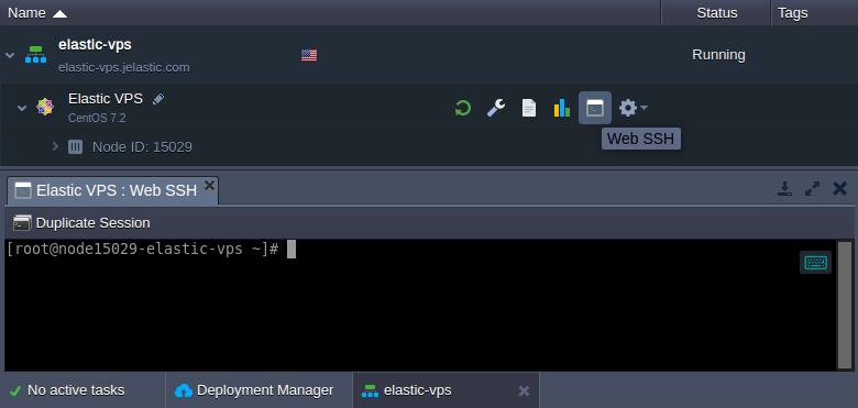 elastic vps web ssh access