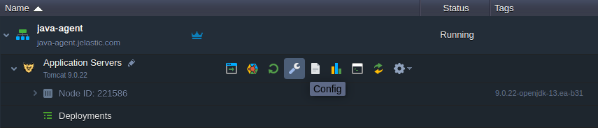 environment config button