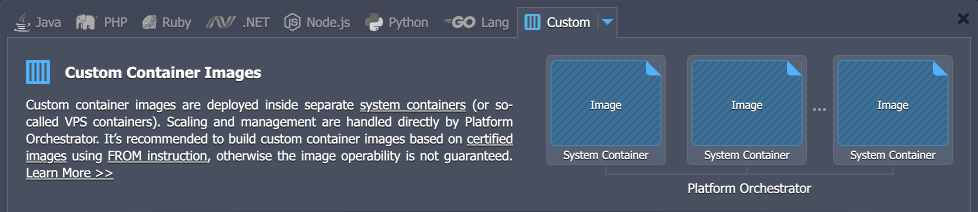 PaaS custom container images