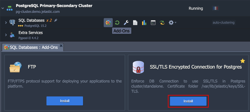 PostgreSQL SSL/TLS add-on