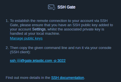 elastic vps access via ssh gate