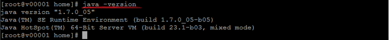 java version vps