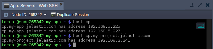 layer hostnames example