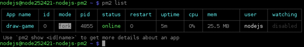 PM2 list running processes