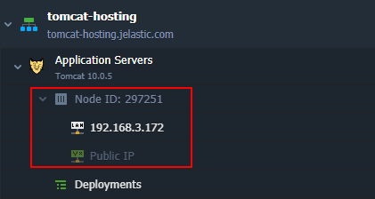 Tomcat node ID