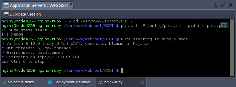 nginx ruby start puma application server via ssh