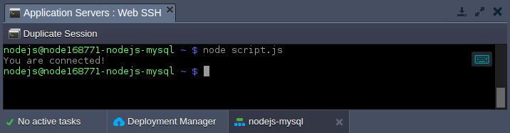 nodejs successful connection