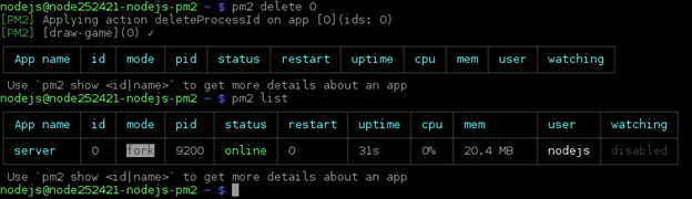 PM2 delete process