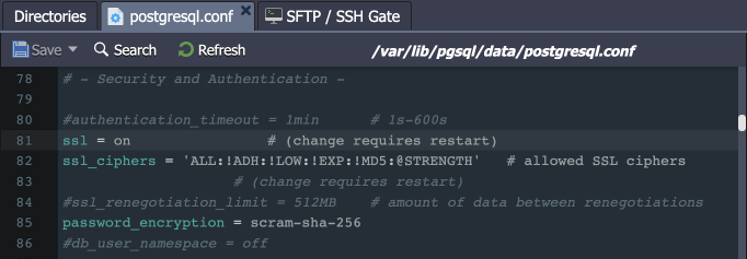 postgresql.conf file