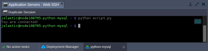 Python MySQL connection test