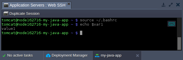 verify custom variable availability ssh