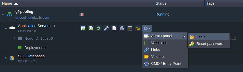 access GlassFish admin panel