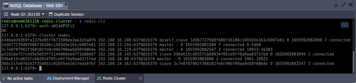 Redis Cluster SSH access