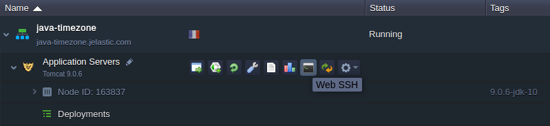 Web SSH button