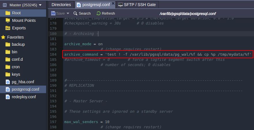 PostgreSQL conf archive command