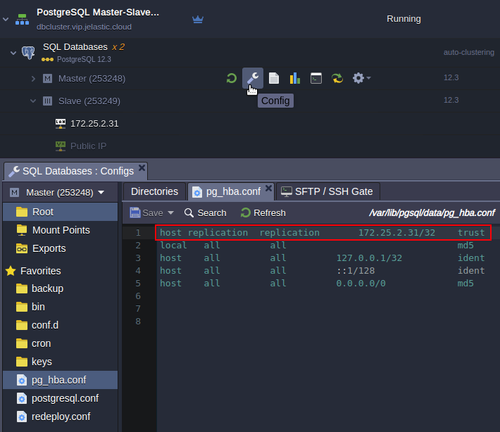 pg-hba.conf settings