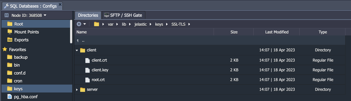 PostgreSQL client certificates