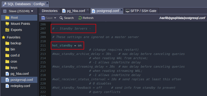 PostgreSQL primary configs