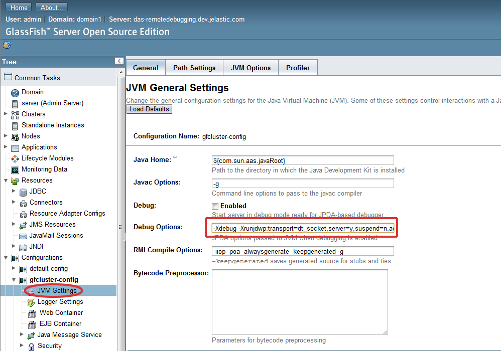 GlassFish debug options