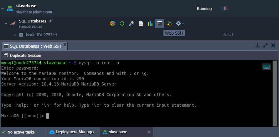 MySQL access via Web SSH