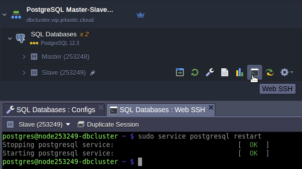 restart PostgreSQL nodes SSH