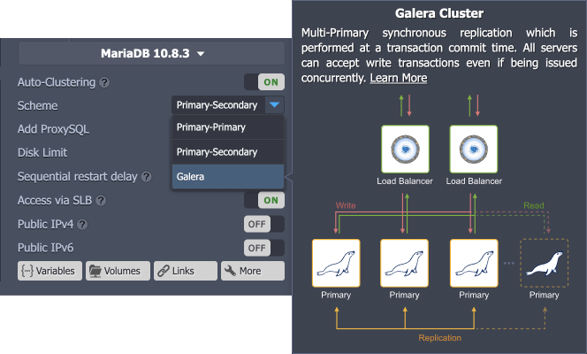 database cluster scheme description