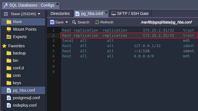 add IP to pg-hba