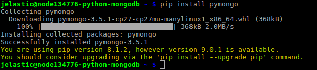 install MongoDb driver for Python