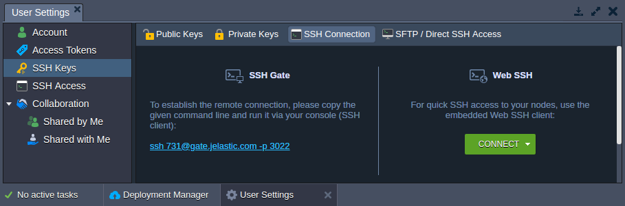 ssh keys user settings