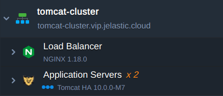 tomcat cluster topology