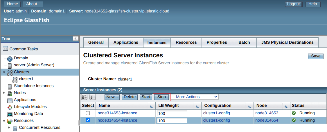 glassfish cluster test