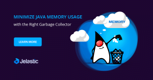 Garbage Collector Tuning as the First Step to Java Memory Usage Optimization