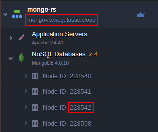 mongodb replica set domain