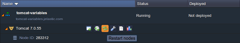 environment variables tomcat jetty restart