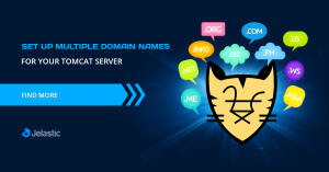 Multiple Domain Names on a Single Apache Tomcat Server