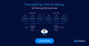 Thorntail Fat, Thin and Skinny Approach for Running Microservice Applications