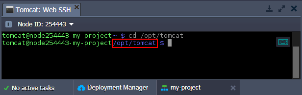 Tomcat Option