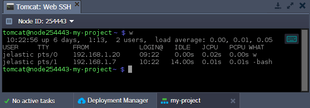 Web SSH Jelastic