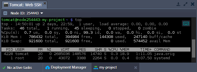 web ssh tasks